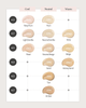 Etude House Double Lasting Foundation